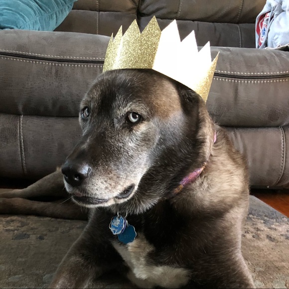 Welcome! - Picture 1 of 1